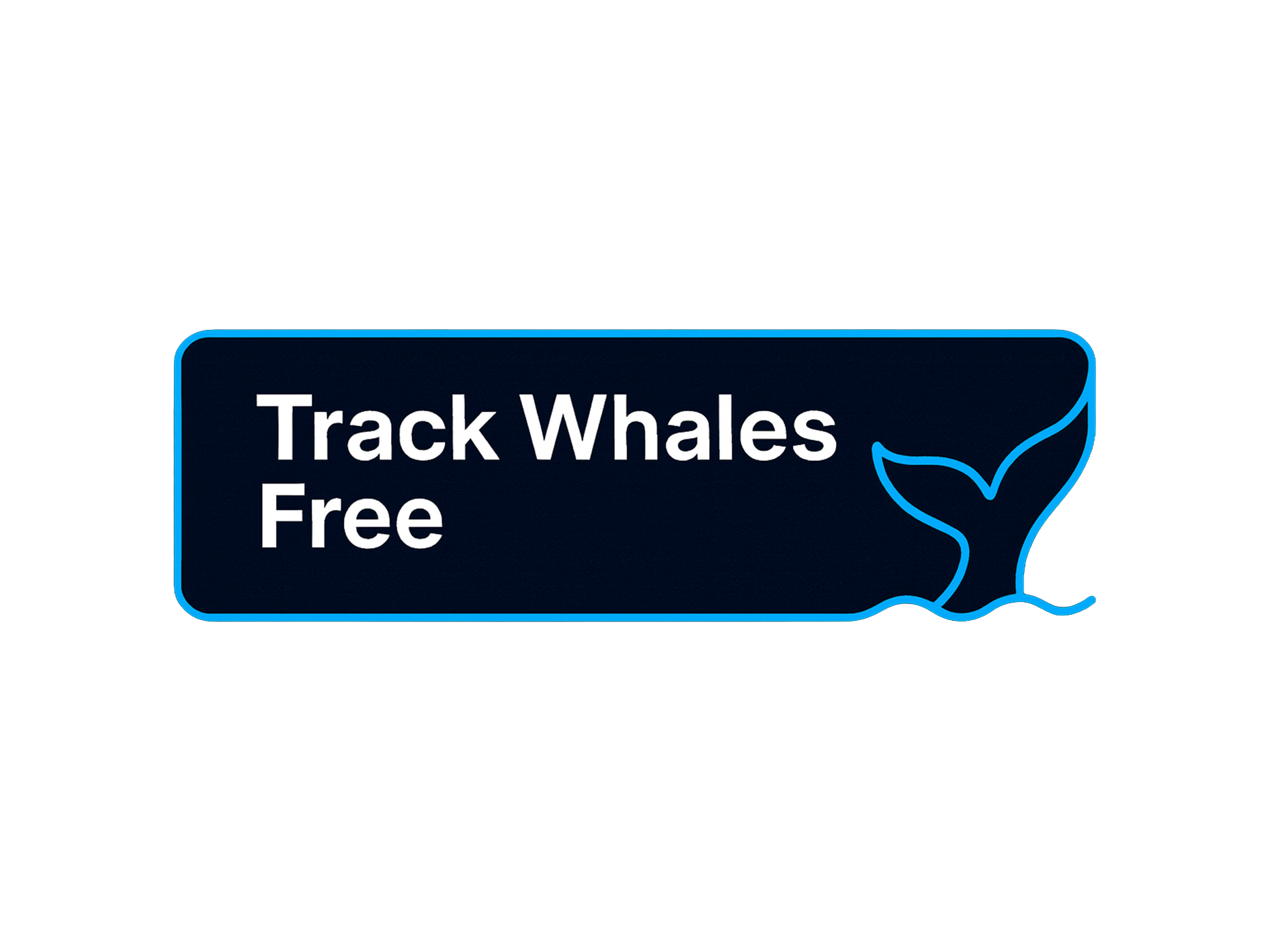 Track Whales Free